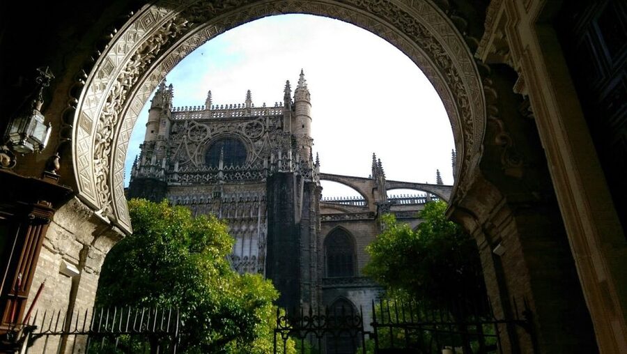 Seville: Cathedral & Giralda Fast-Track Guided Tour - Plaza del Triunfo, orange umbrella, and the one admin detail that matters