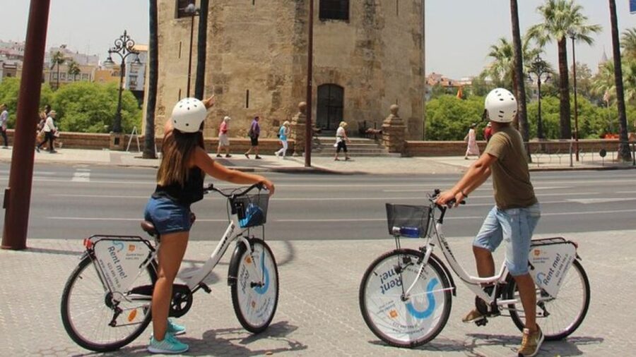 Seville City Bike Tour: Top Seville's Monuments - From Cathedral area to Alcázar: quick orientation, real impact