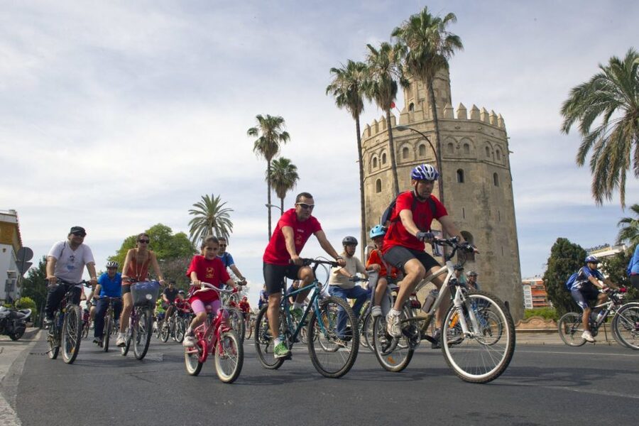 Seville City Bike Tour: Top Seville's Monuments - Bike comfort, safety briefing, and what to bring