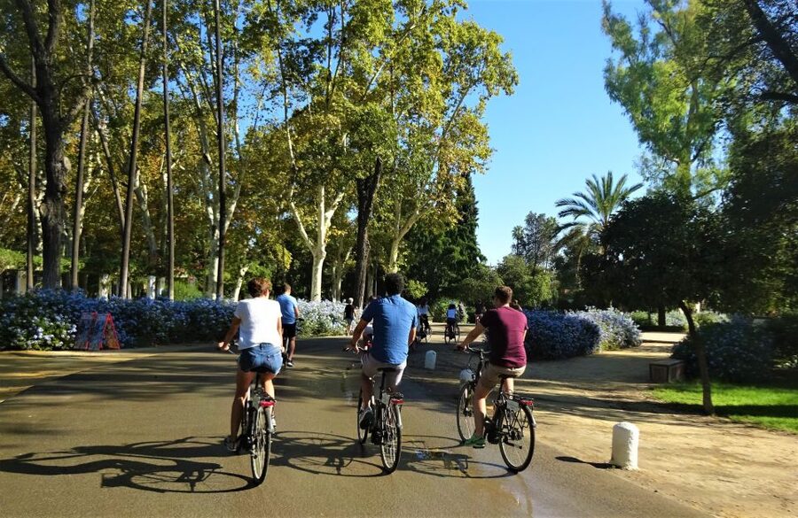 Seville: Electric Bike Tour in Small Group - El Arenal First: Getting Oriented in the Right Neighborhood