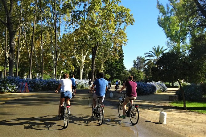 Seville Electric Bike Tour - Small Group - City Hall, Santa Cruz area energy, and reading Seville’s style
