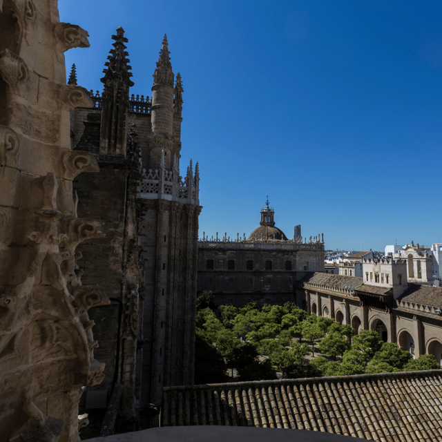Seville: Fast Track Cathedral Giralda Tower Last minute Tour - What to Expect From the Guide and Group Size