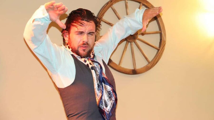Seville: Flamenco Show at Tablao La Cantaora - What you will see on stage: dance, singing, and guitar as a single unit