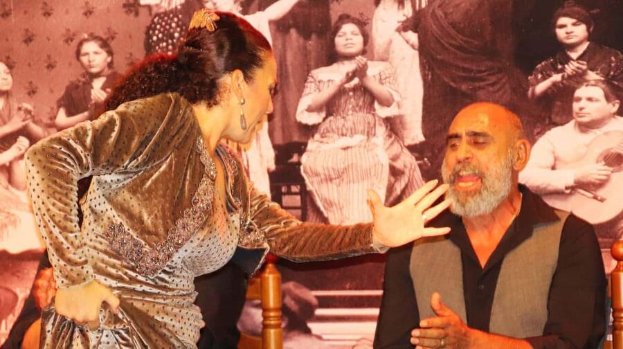 Seville: Flamenco Show at Tablao La Cantaora - Who this flamenco show fits best