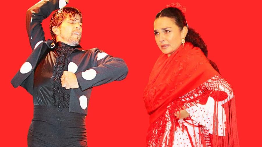Seville: Flamenco Show at Tablao La Cantaora - A 1-hour flamenco show that feels like XIX century Cafés Cantantes