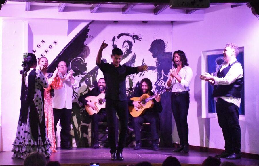 Seville: Flamenco Show at Tablao Los Gallos - What you’ll see and hear: the flamenco “parts” that matter