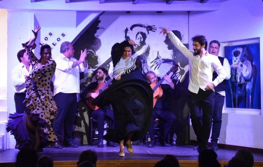 Seville: Flamenco Show at Tablao Los Gallos - The most common praise: passion and full-throttle musicianship