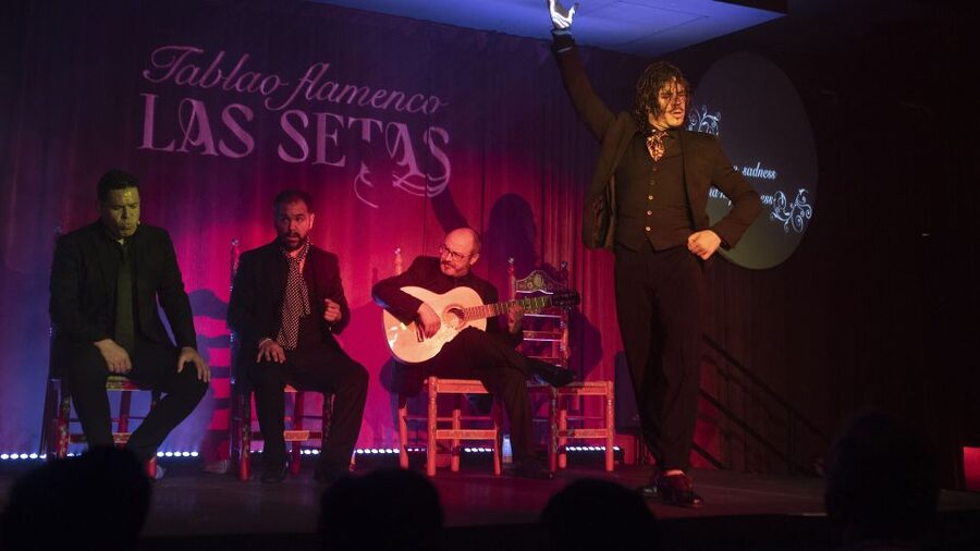 Seville: Flamenco Show & Roof Dinner with Cathedral Views - A 3-hour Seville night with flamenco and Cathedral views