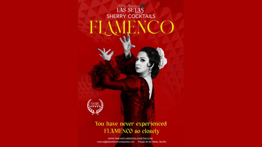 Seville: Flamenco Show Ticket at Tablao Flamenco Las Setas - The flamenco show: what you will see on stage