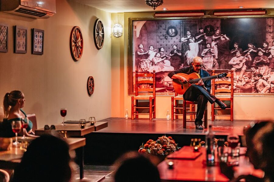 Seville: Flamenco Show with Andalusian Dinner at La Cantaora - Who should book La Cantaora with dinner, and who might skip
