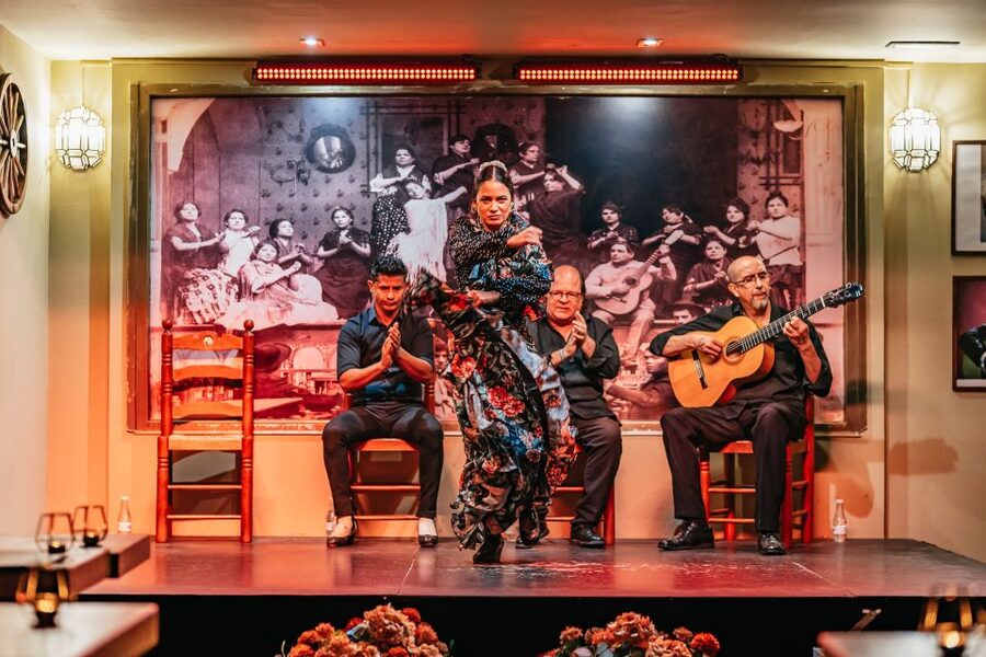 Seville: Flamenco Show with Andalusian Dinner at La Cantaora - Flamenco, Roma roots, and UNESCO intangible heritage