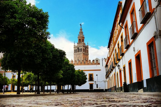 Seville Full Day Tour - Getting oriented near Plaza del Triunfo, then stepping back in time