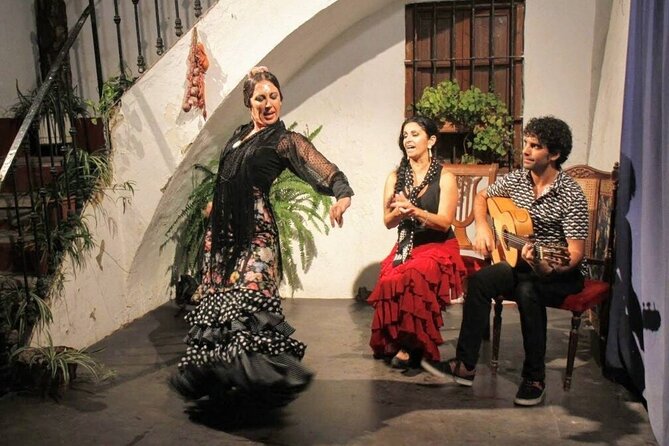 Seville: Fun class to approach Flamenco - Flamenco Fundamentals in One Hour, Tango Style
