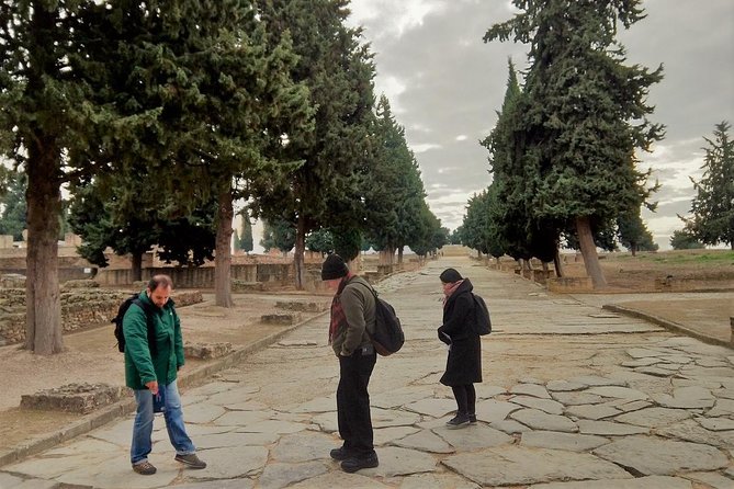 Seville: Games of Thrones and Roman Empire Italica Tour - Stop 1 at Itálica: Amphitheatre Power, Mosaics, and Domus