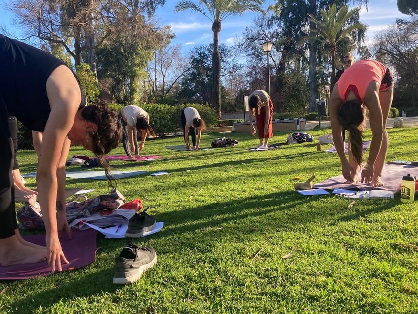 Seville: Group Yoga classes All levels - in French - Key things to know before you go