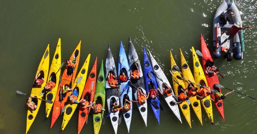 Seville: Guadalquivir River Kayak Tour or Kayak Rental - Meet at Kayak Sevilla, then get moving fast