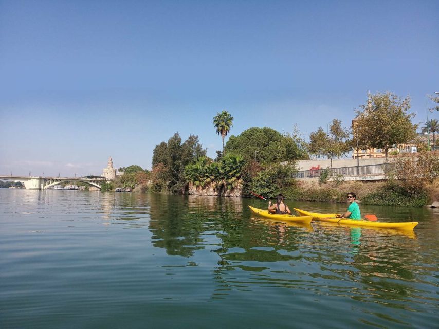Seville: Guadalquivir River Kayaking Trip - What You Might See: Turtles, Rowers, and Peaceful Stretches