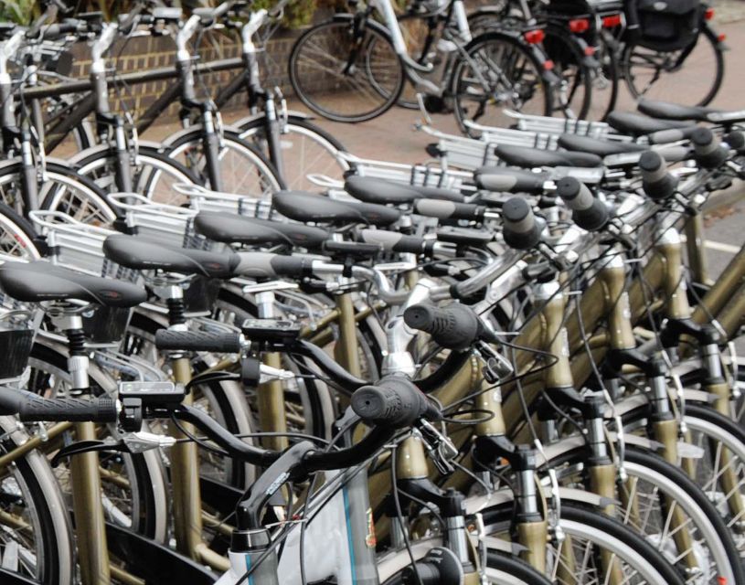 Seville: Guided Tour by Electric Bike - Why an E-Bike Works So Well for Seville Heat