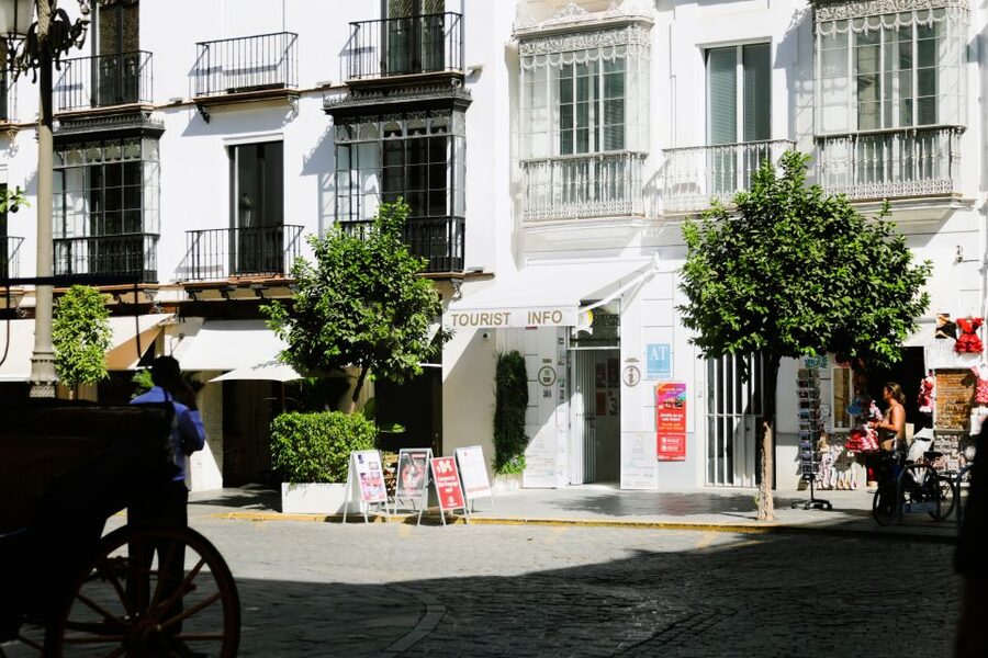 Seville: Guided Tour of Cathedral of Seville & Giralda Tower - Patio de los Naranjos and Puerta del Perdón: A Citrus-Quiet Reset