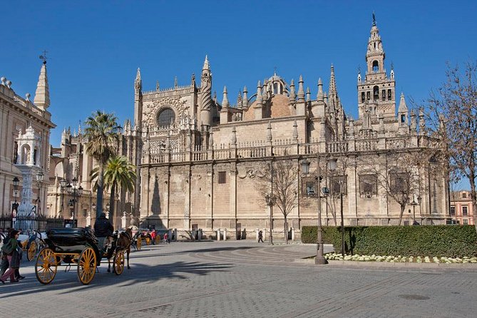 Seville Half-Day Walking Tour - Why This Seville Half-Day Walking Tour Feels Worth It