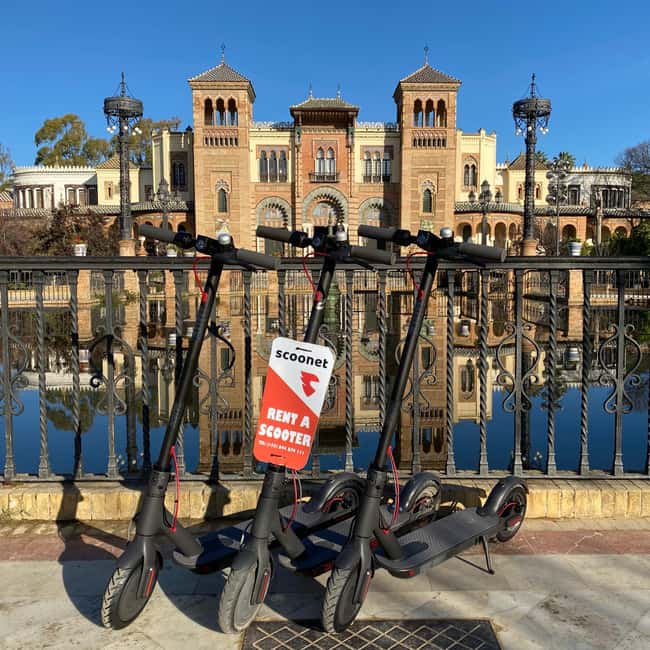 Seville: Highlights Bike Tour - Torre del Oro and the Guadalquivir River, getting your bearings fast