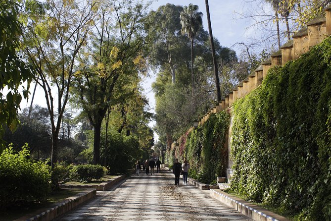 Seville Highlights: Private Family Guided Tour - Tickets not included, so how to avoid the usual time crunch