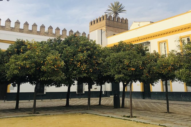 Seville Highlights Private Walking Tour - What to expect during the 2-hour walk