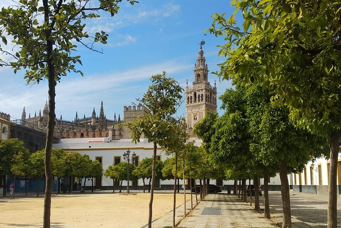Seville Highlights Private Walking Tour - External-only Royal Alcazar and Cathedral, and why that is still useful