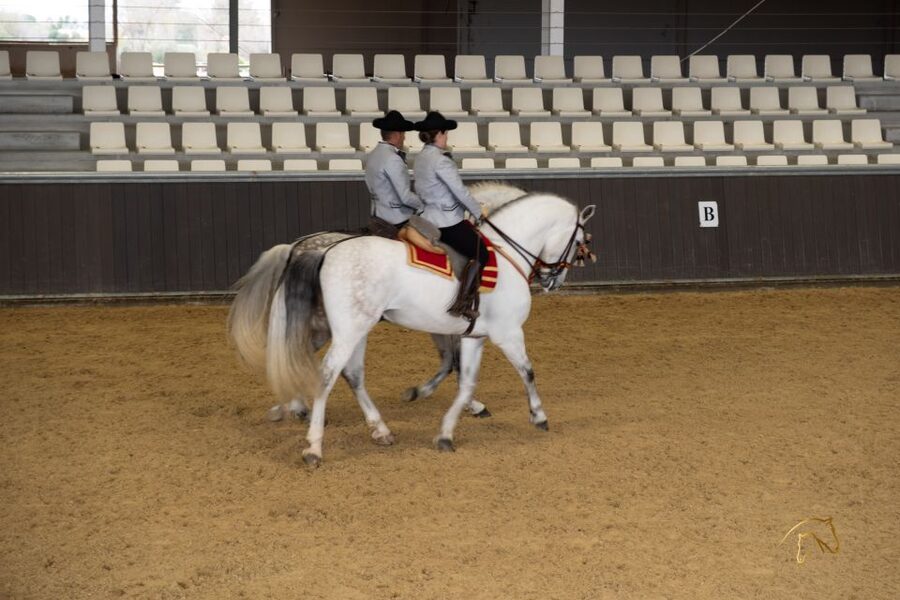 Seville: Horse's Show Entry Ticket. Optional Stud Farm Visit - The Traditions show: how the finish ties it together