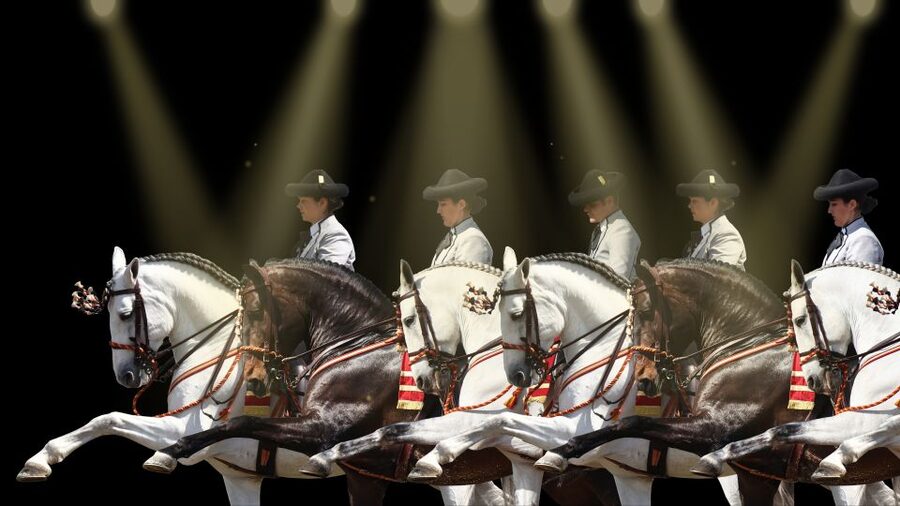 Seville: Horse's Show Entry Ticket. Optional Stud Farm Visit - Timing in the real world: plan around the ranch location