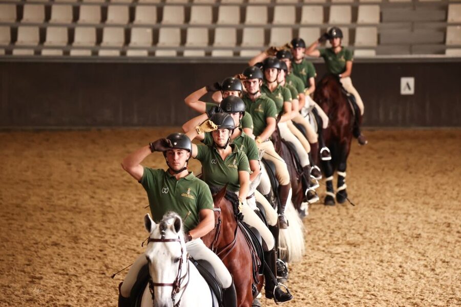Seville: Horse's Show Entry Ticket. Optional Stud Farm Visit - Getting there smoothly: the meeting point and wayfinding tips