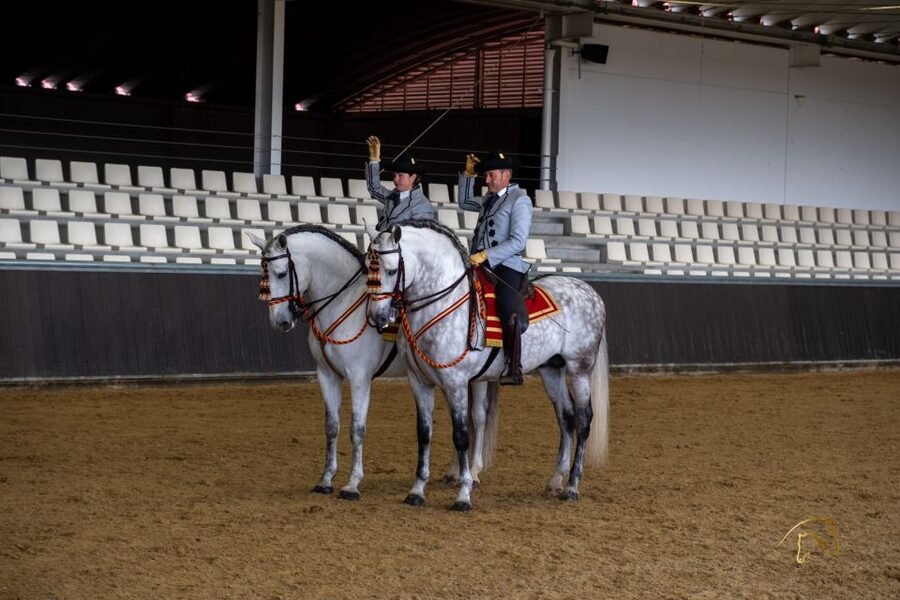 Seville: Horse's Show Entry Ticket. Optional Stud Farm Visit - What you will actually feel during the show