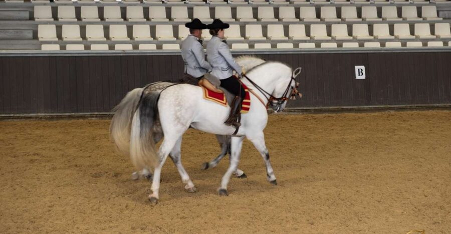Seville: Horse's Show Entry Ticket. Optional Stud Farm Visit - Story of a Champion: the seven stops that frame the show