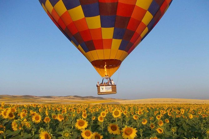 Seville Hot-Air Balloon Ride with Breakfast, Cava & Hotel Pick up - Key things to know before you go