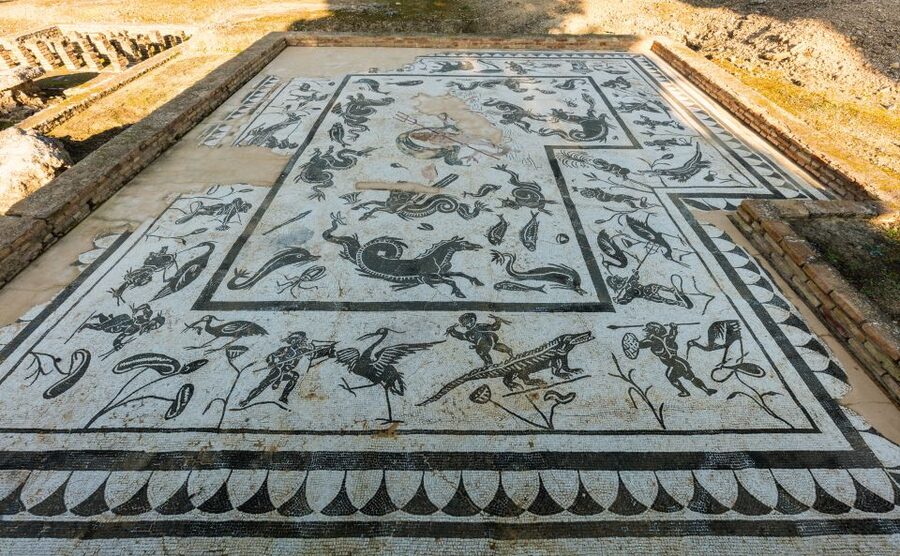 Seville: Italica Roman Ruins City Tour - The Guides: Why This Tour Often Feels Effortless