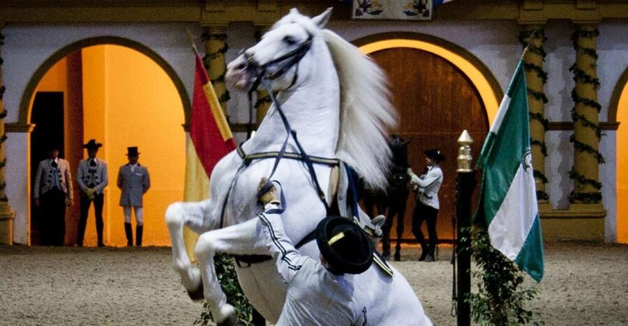 Seville: Jerez, Cadiz Wine Tasting with Optional Horse Show - Key Things to Know Before You Go