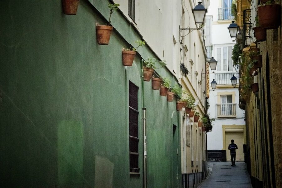 Seville: Jerez, Cadiz Wine Tasting with Optional Horse Show - Cádiz on Foot: Cathedral Views and Street-Level Time