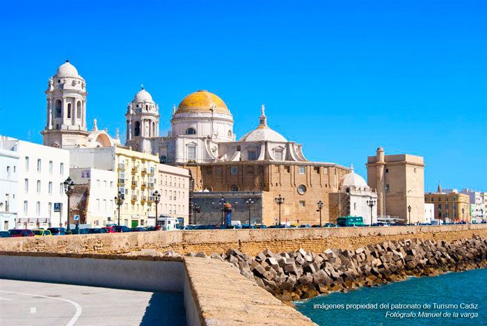 Seville: Jerez, Cadiz Wine Tasting with Optional Horse Show - Price and Value at About $115: What You Get for Your Money