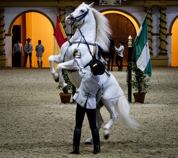 Seville: Jerez, Cadiz Wine Tasting with Optional Horse Show - Should You Book This Seville to Jerez and Cádiz Tour?