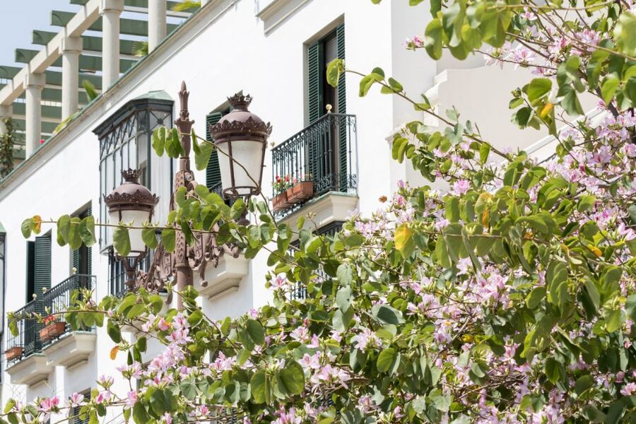 Seville Jewish Quarter walking tour: Santa Cruz District - Casa Murillo and the kind of pauses that make photos and facts work together