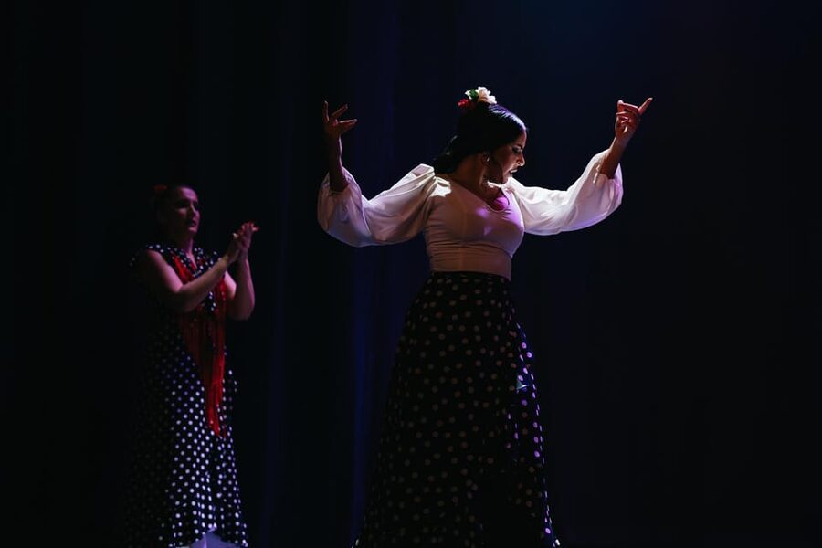 Seville: Live Flamenco Dancing Show Ticket at the Theater - Seats, viewing angles, and why timing affects your experience