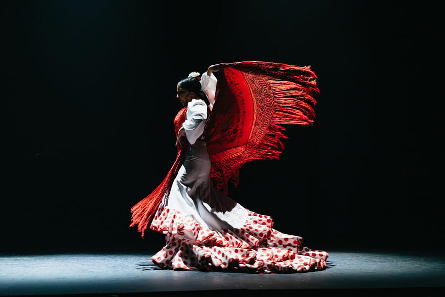 Seville: Live Flamenco Dancing Show Ticket at the Theater - How the 1-hour show typically plays out