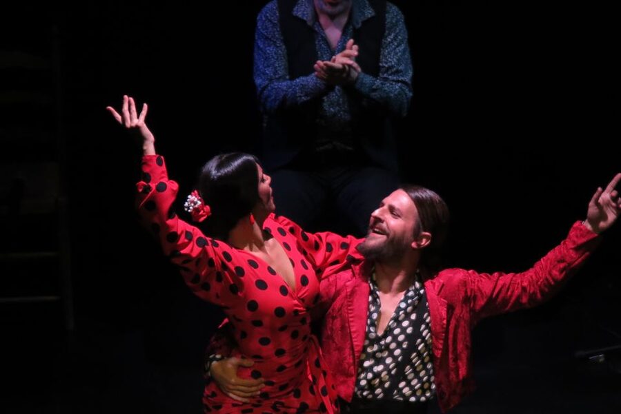 Seville: Live Flamenco Show at "Teatro Flamenco Triana" - Flamenco Etiquette That You Must Follow (Phones, Food, Noise)