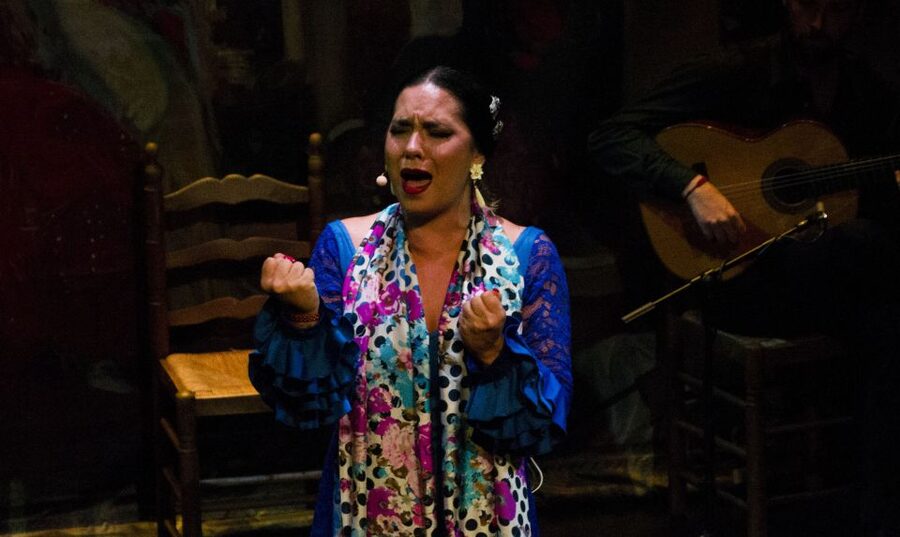 Seville: Live Flamenco Show at "Teatro Flamenco Triana" - Price and Value: What You’re Really Paying for