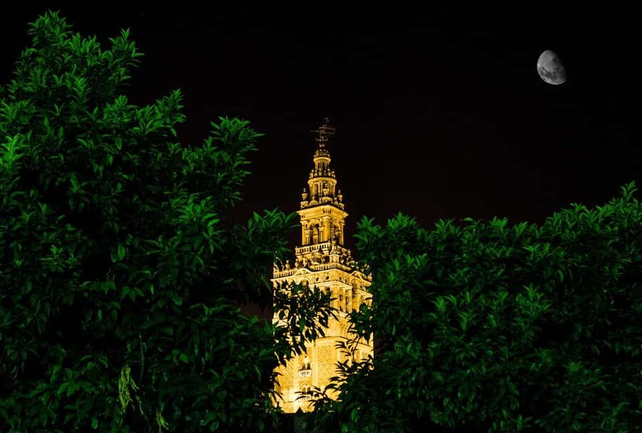 Seville Night Tour A Must See - El Arenal, El Postigo market area, and the shift toward river air