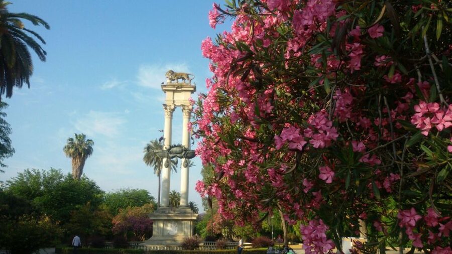 Seville Orientation Tour - The Guadalquivir River: Learn the Story Before You Take the Photo