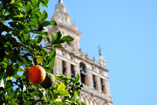 Seville Panoramic Walking Tour - Barrio Santa Cruz: The Jewish Quarter Stop That Explains Why Streets Feel Different