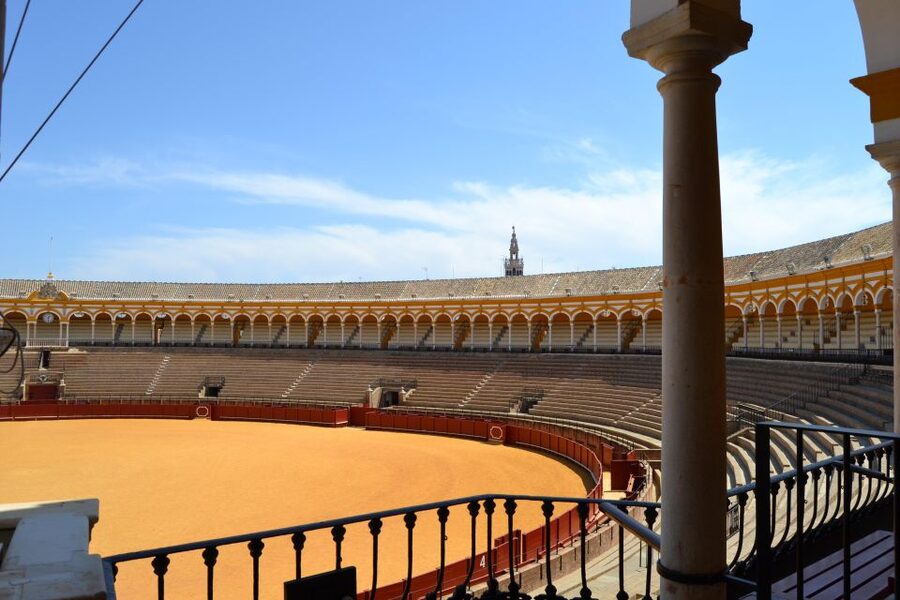 Seville: Plaza de Toros and Museum Guided Tour in Spanish - Who this tour is best for in Seville