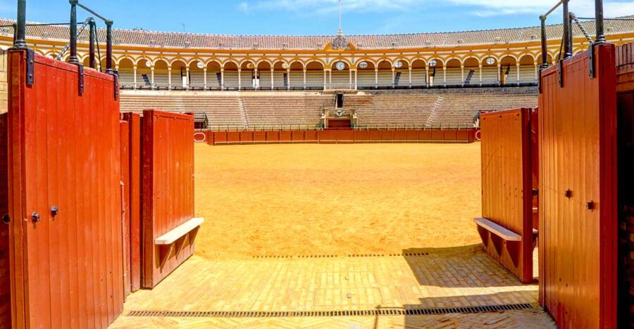 Seville: Plaza de Toros and Museum Guided Tour in Spanish - The Baroque façade and the scale of Seville’s bullring