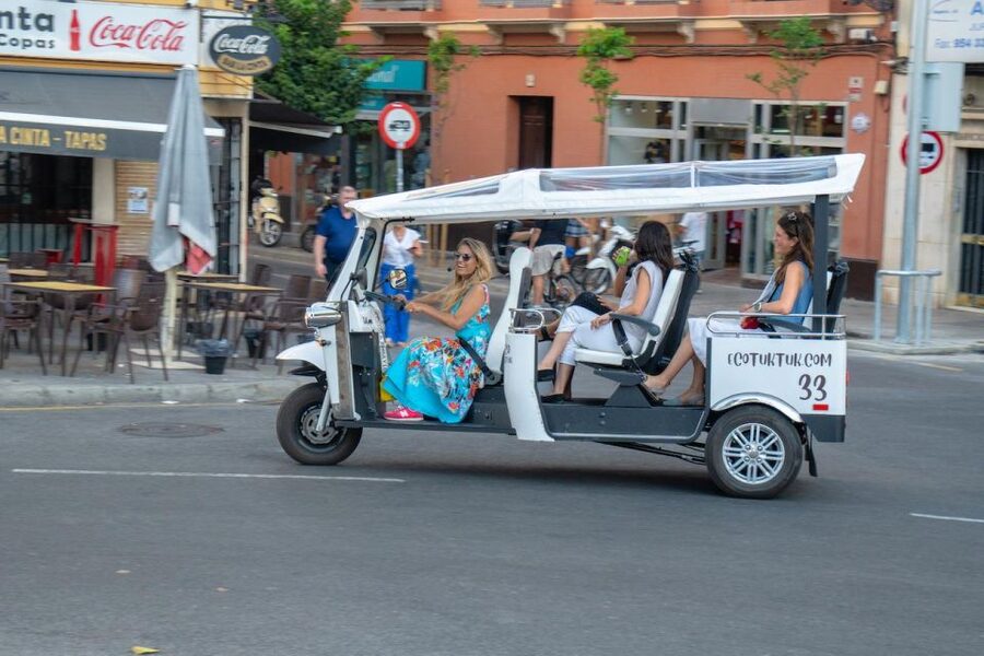Seville: Private City Tour by Eco Tuk Tuk - Should you book the Seville Private City Tour by Eco Tuk Tuk?
